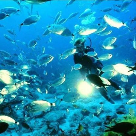 Bajo Playazo Jimena 6 Lejlighed Nerja Eksteriør billede
